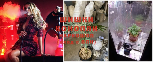 PSILOCYBIN Ростов